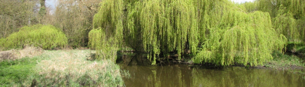Banner-Bridge-View-Cassiobury-Park